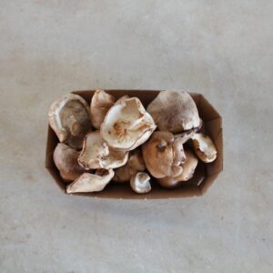 Xitaque (Bossa de 200gr.)