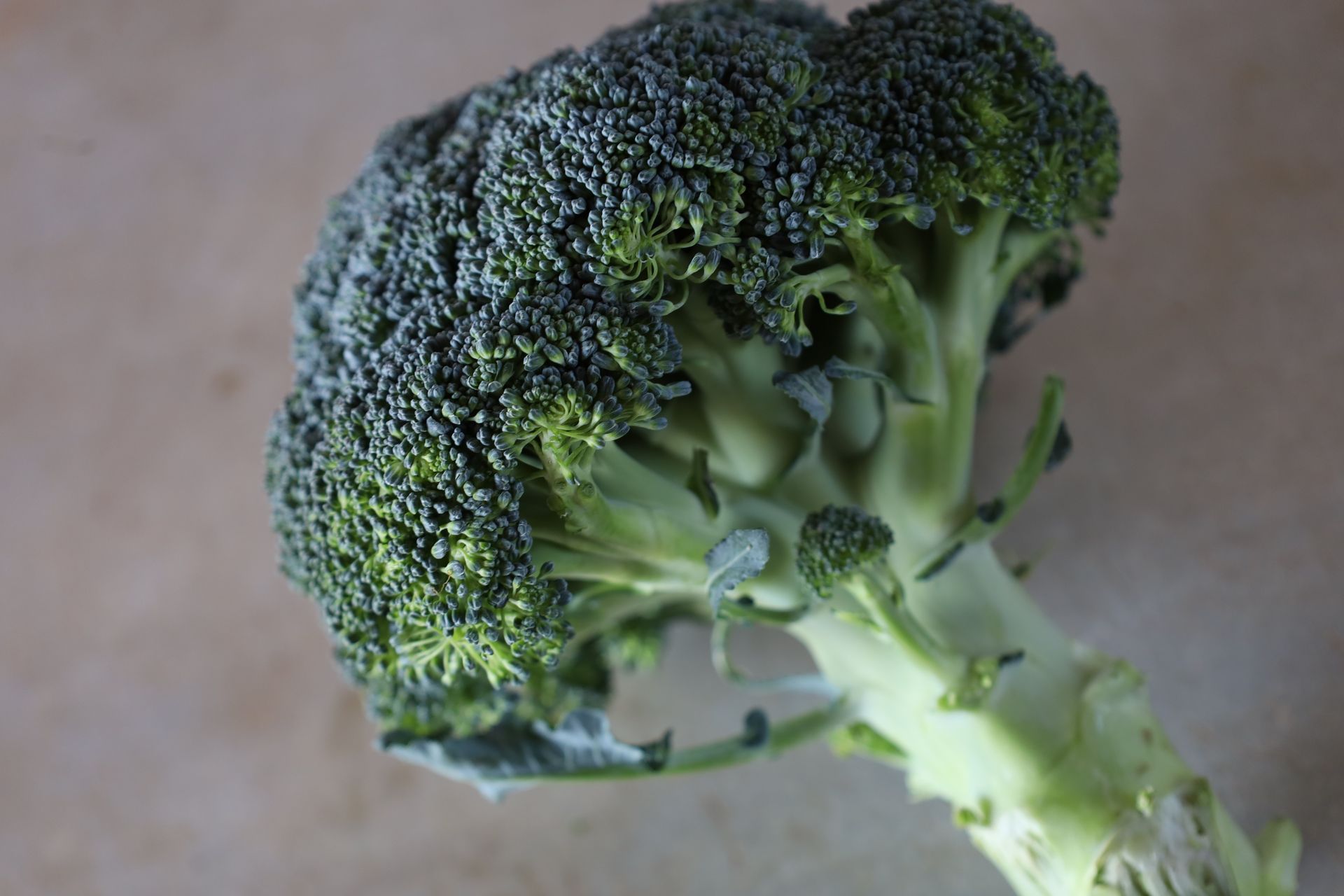 Brocoli (Kg) - Imatge 2
