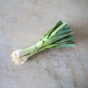 Porros (manat)