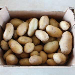Patata 5kg