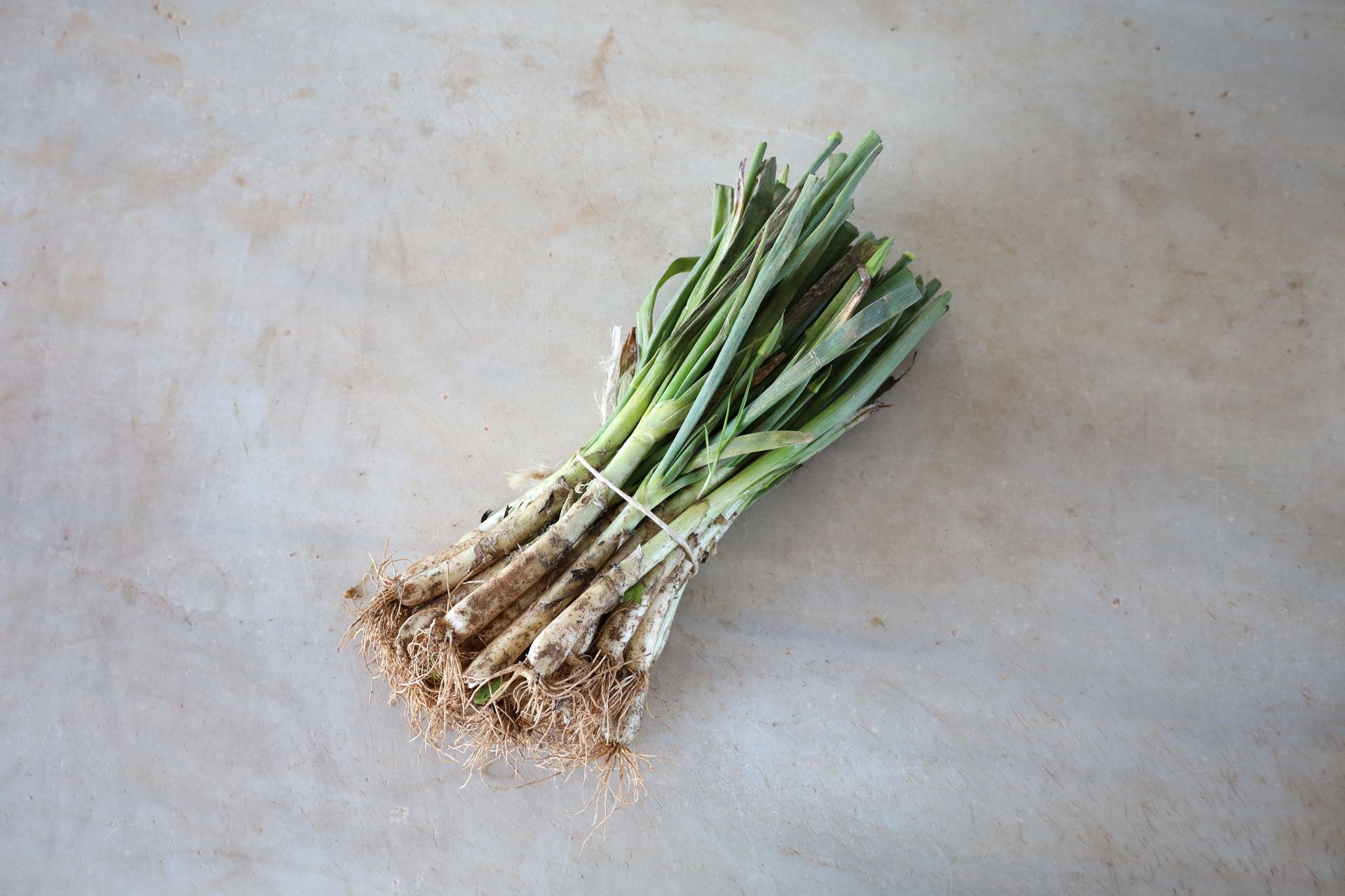 Calçots (pack 2 manats de calçots + 1pot salsa) - Imatge 2