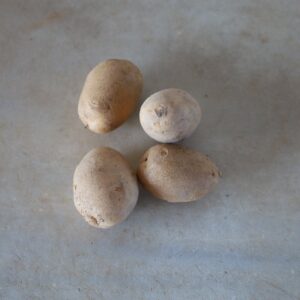 Patata blanca Petita Agria - kg