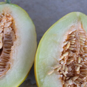 Fruita