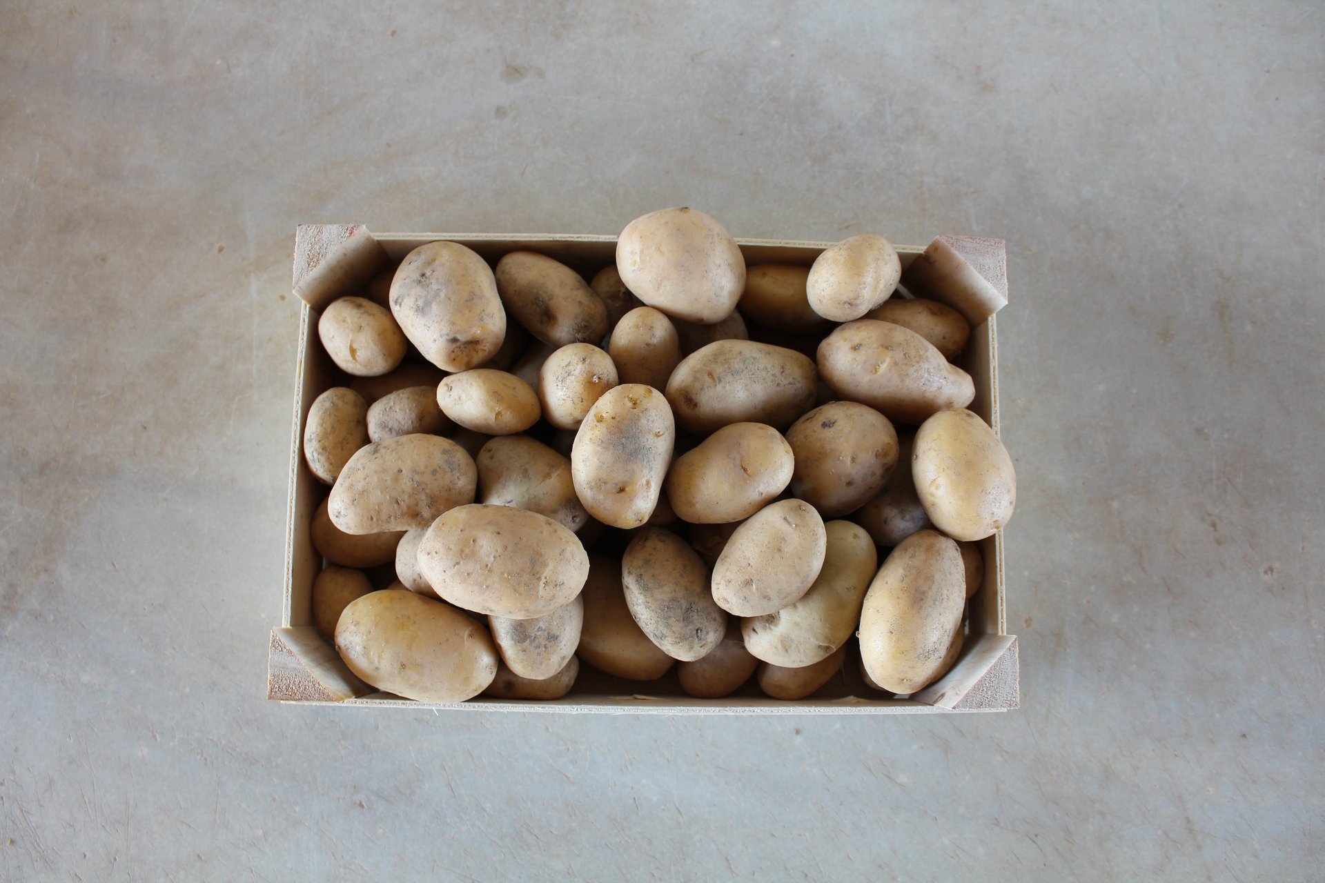 Patata blanca petita - Malla 2 kg