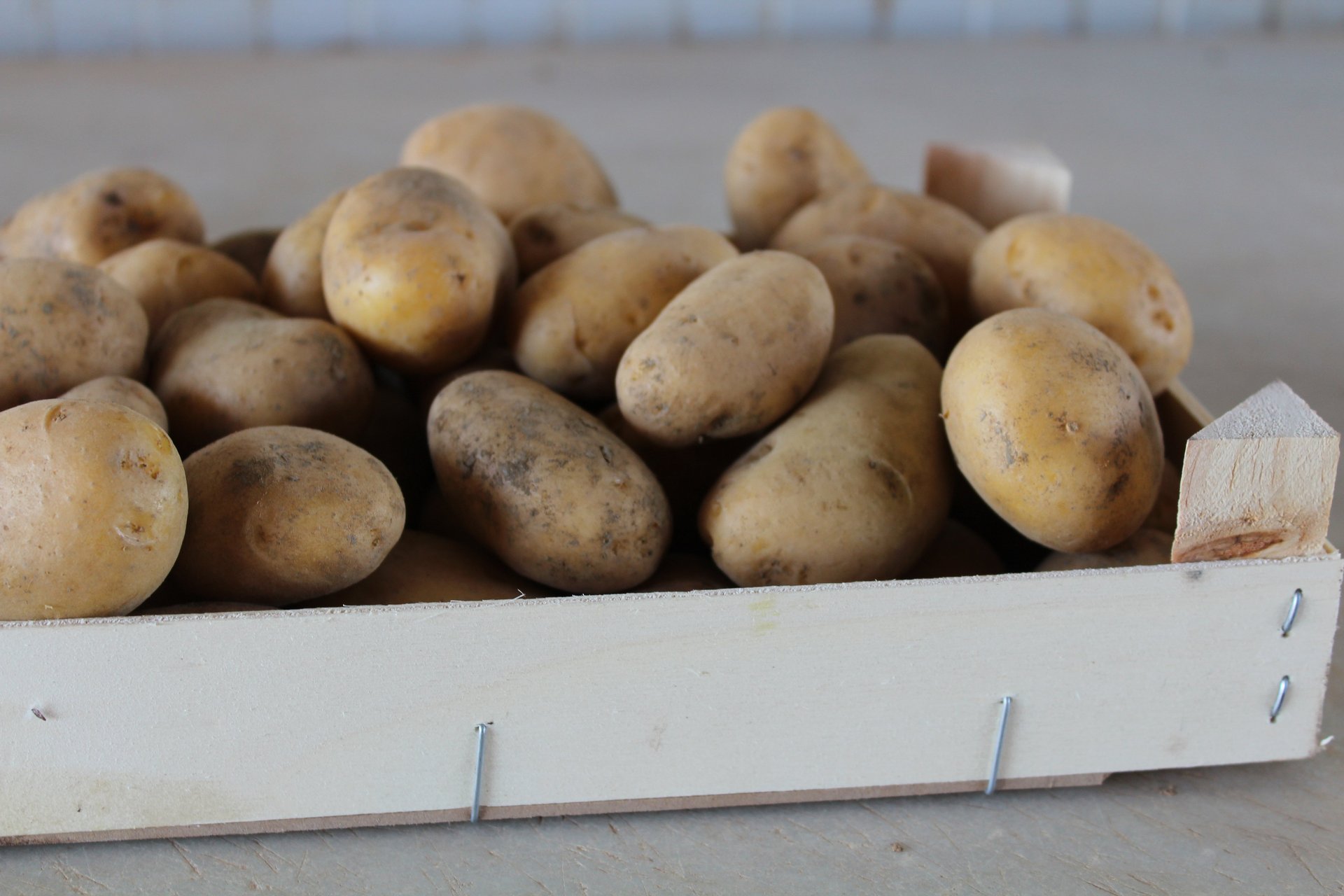 Patata blanca petita - Malla 2 kg - Imatge 2