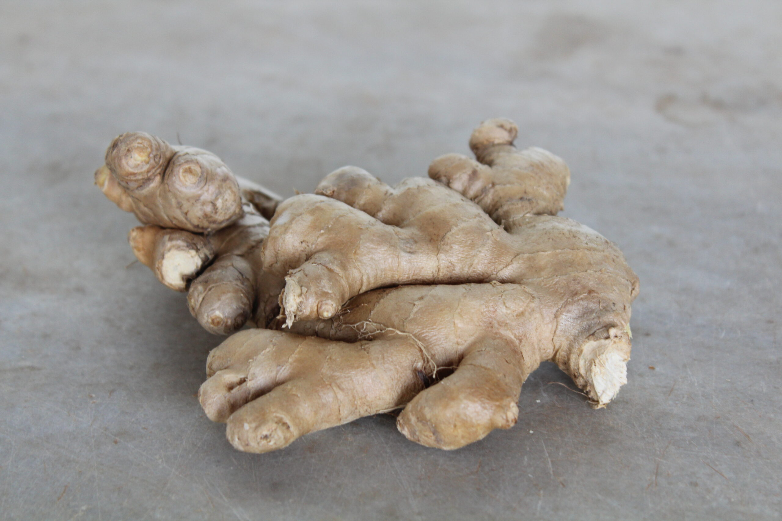 Gingebre fresc - 100 gr - Imatge 2