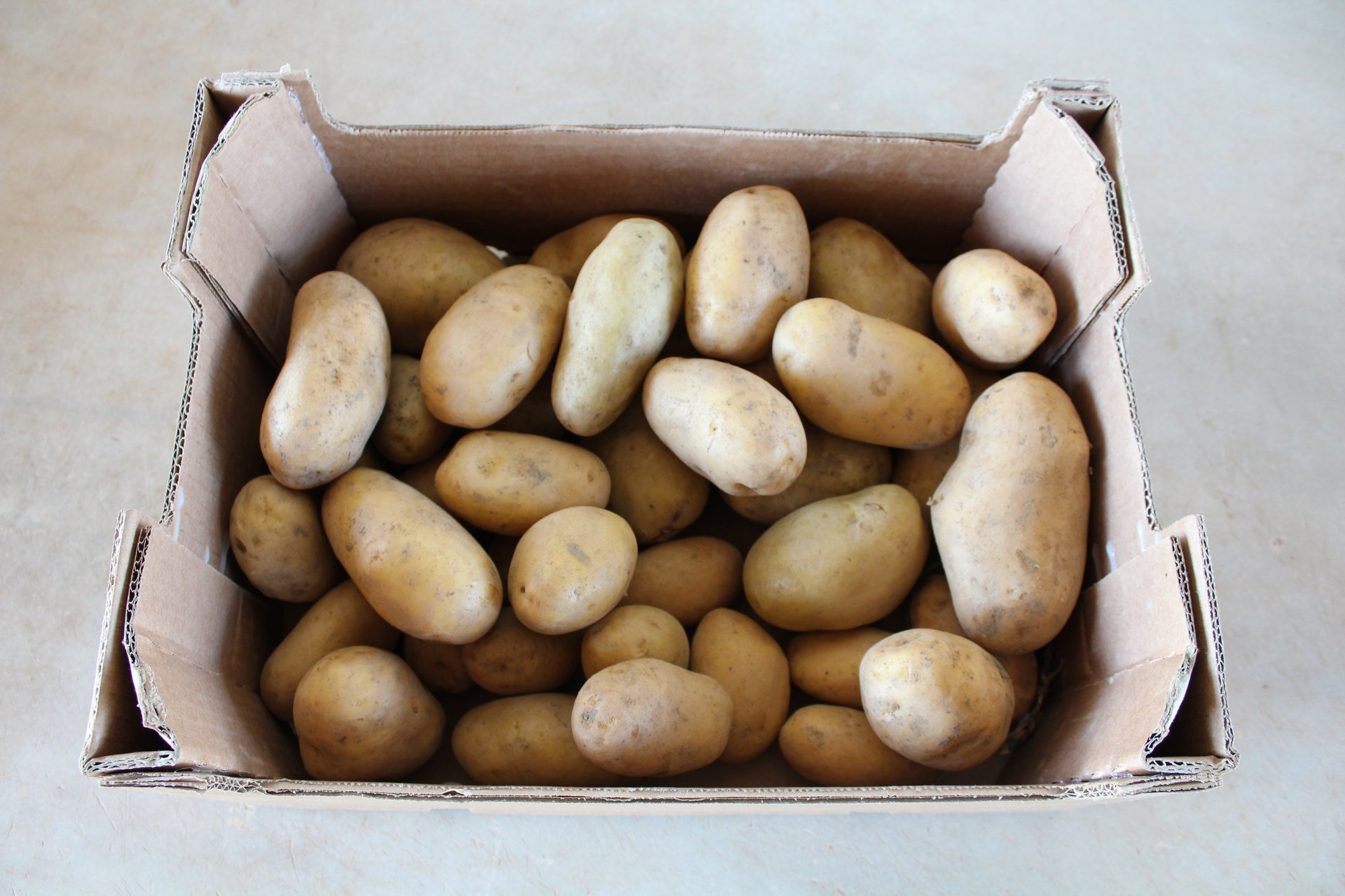 Patata - 5 kg