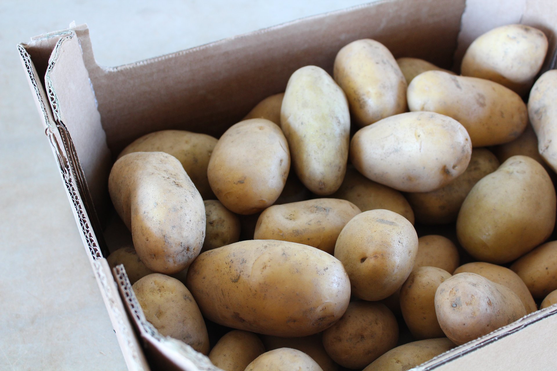Patata - 5 kg - Imatge 2