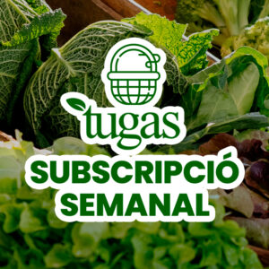 Suscripción TEST