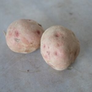 Patata vermella Red Pontiac - kg